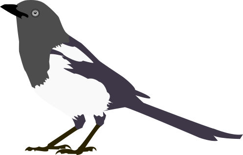 magpie project